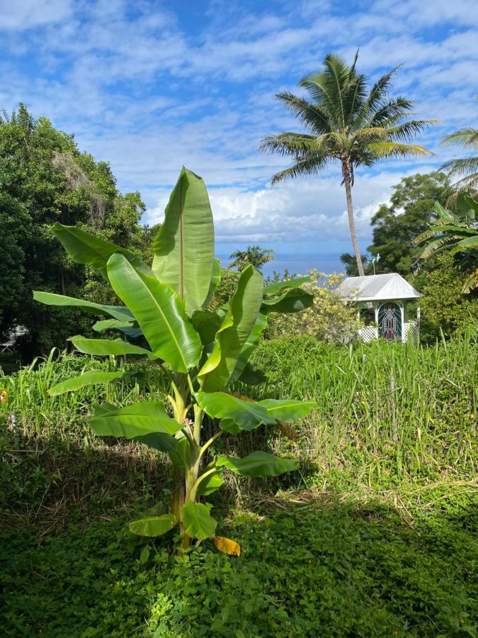 Cozy Jungle Boat Hideaway With Stunning Ocean View Βίλα Kealakekua Εξωτερικό φωτογραφία