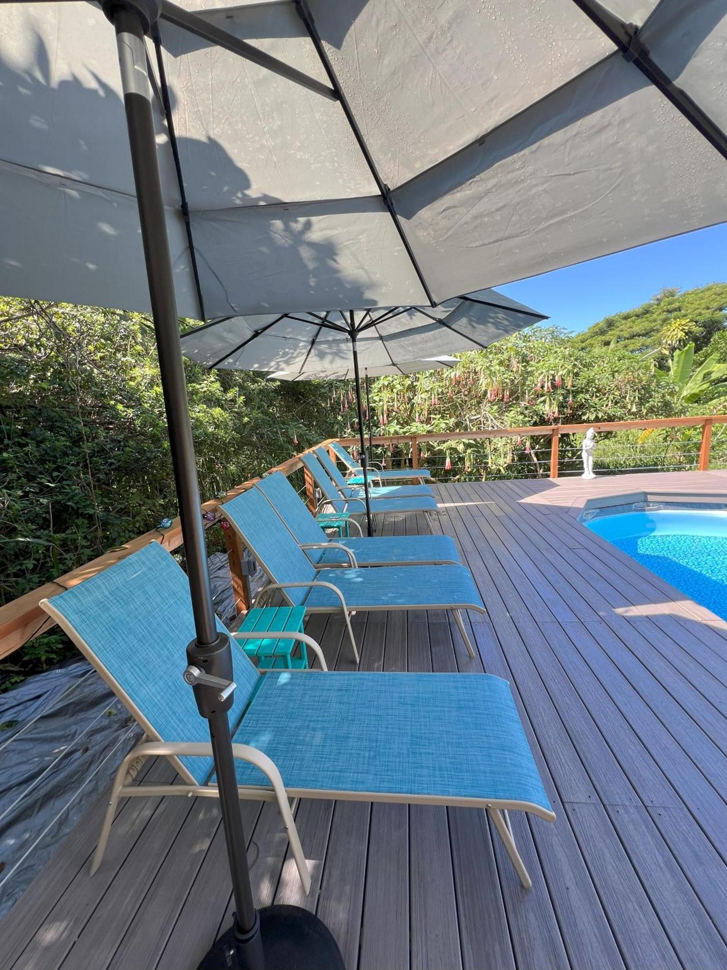 Cozy Jungle Boat Hideaway With Stunning Ocean View Βίλα Kealakekua Εξωτερικό φωτογραφία